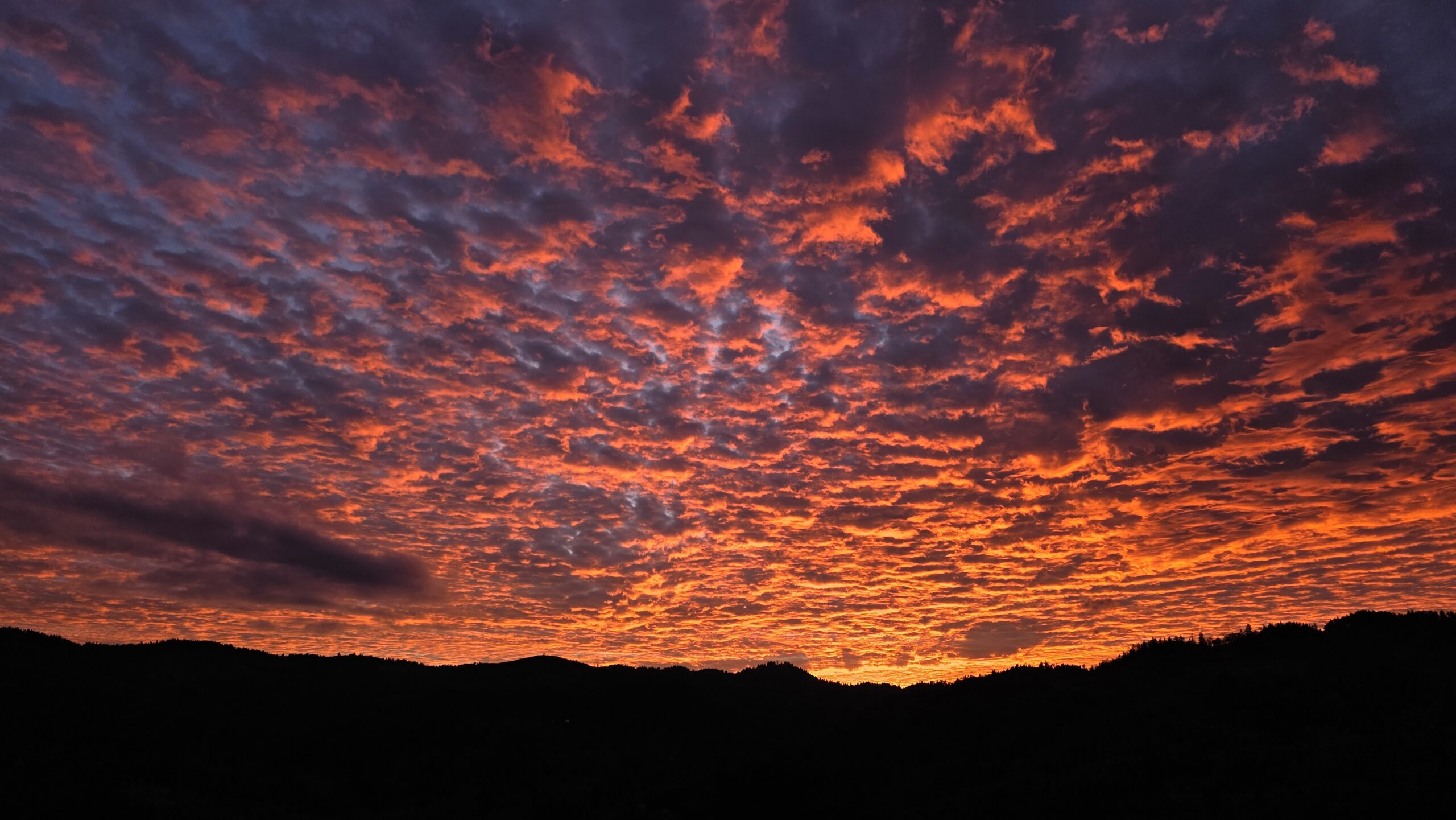 A beautiful sunset over the Willamette Valley