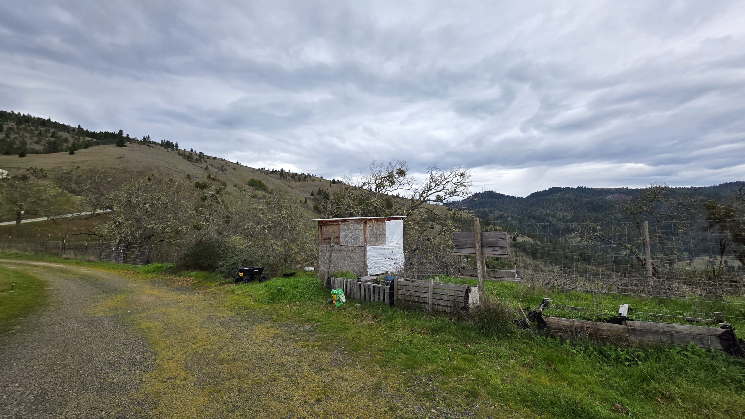 Before image: a small out-building